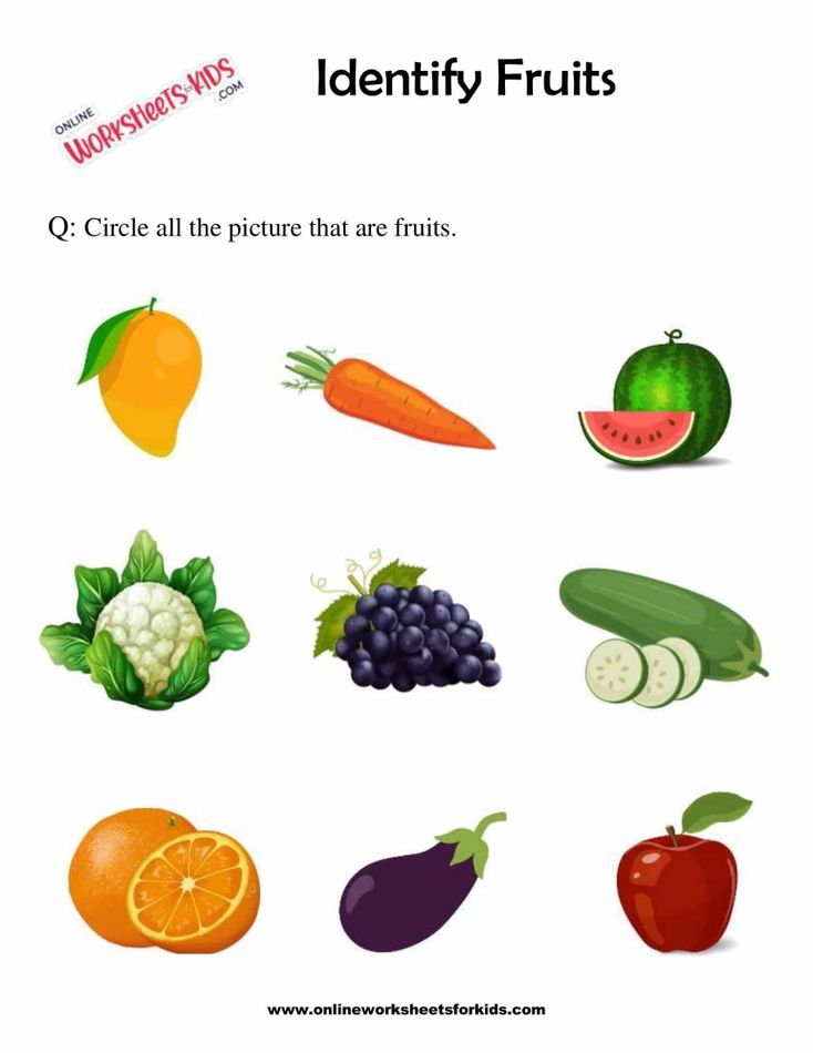 Identify Fruits 1