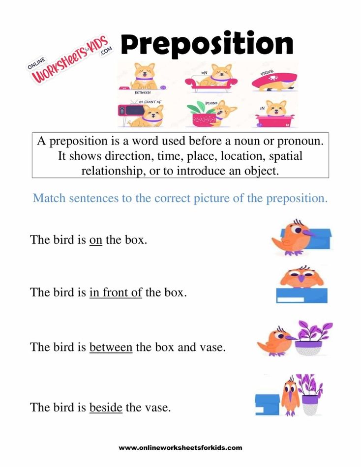 Preposition Worksheets for Grade 1-6