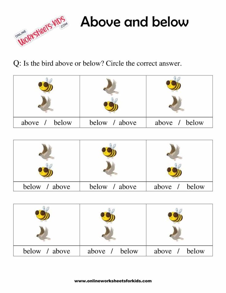 Above and Below Worksheets 2