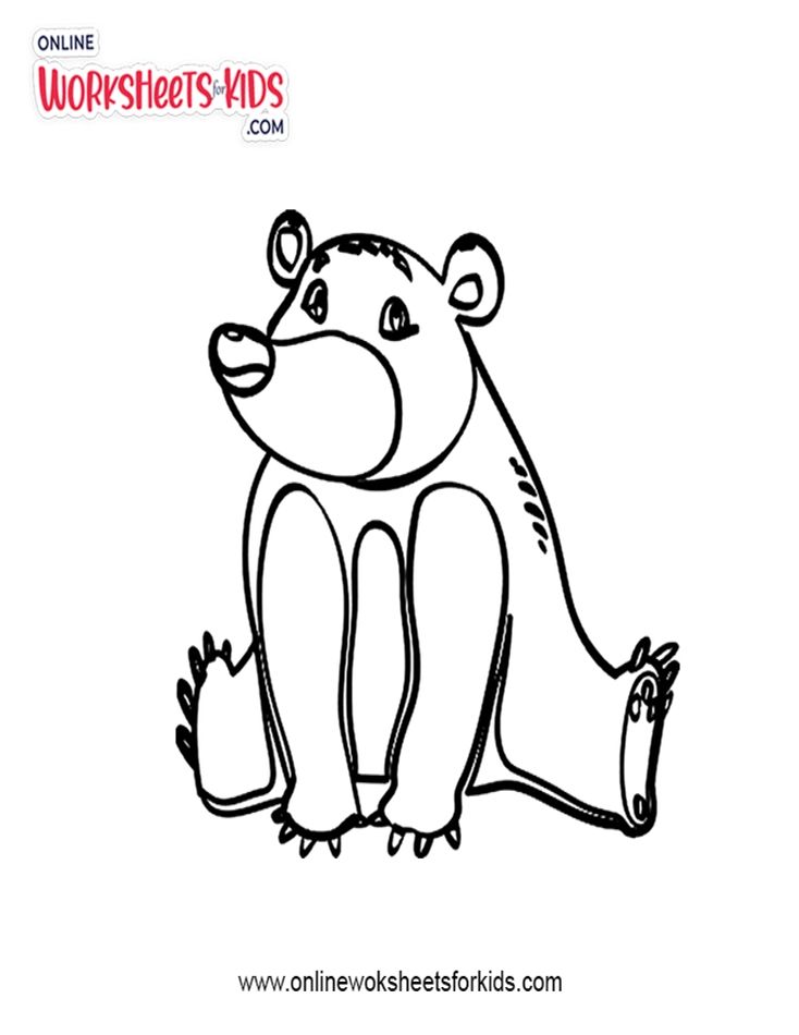 Bear Coloring