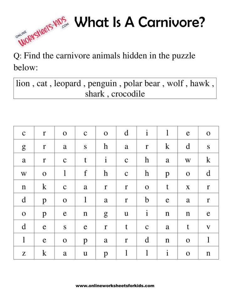 What Is A Carnivore Worksheets For 1st Grade 10