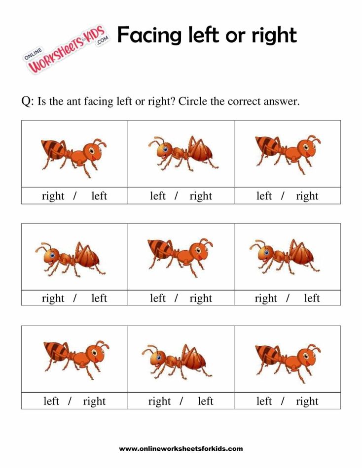 Facing Left And Right Worksheets 4