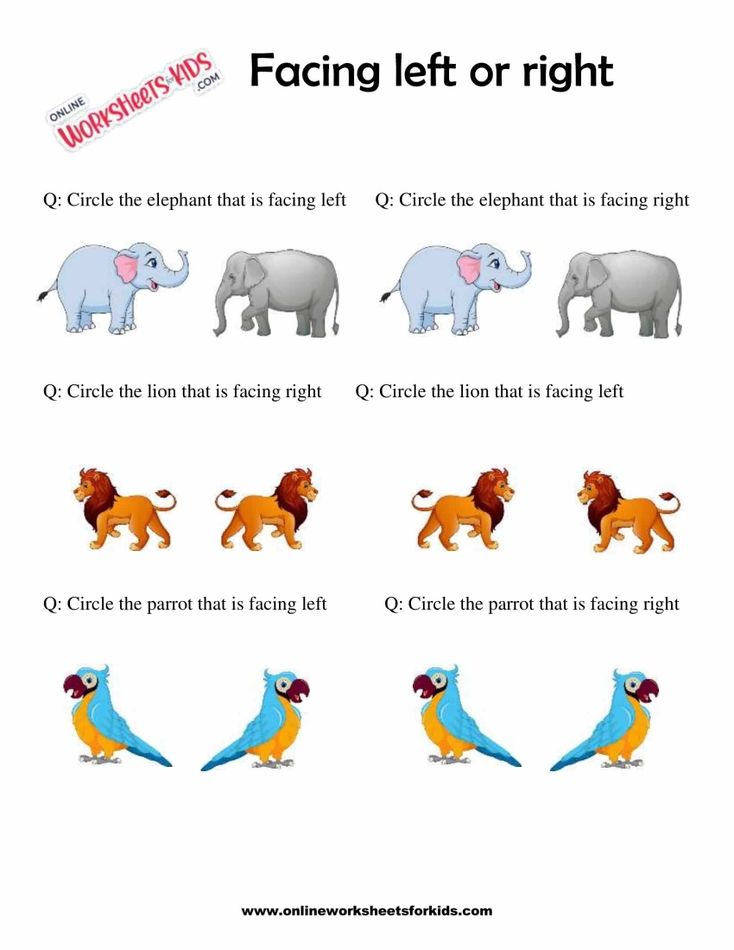 Facing Left And Right Worksheets 9