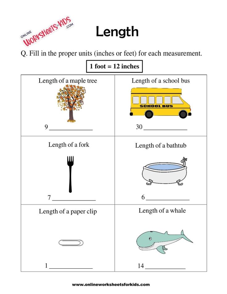 Length Worksheet 04