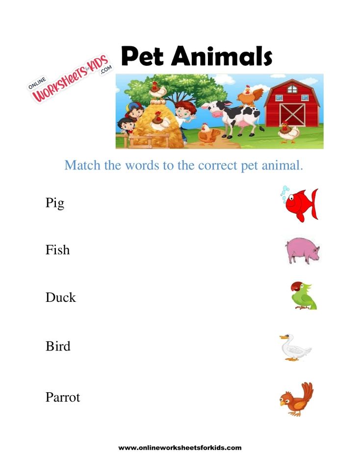 Pet Animals Worksheet 4