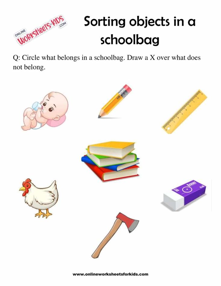 Sort The Objects 1