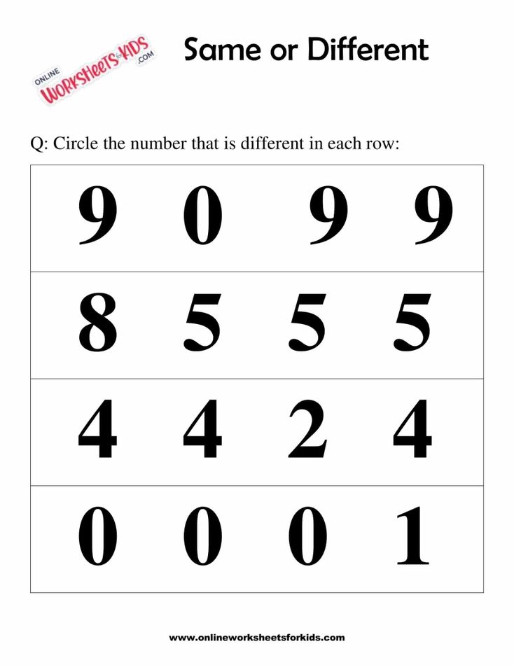 Same or Different Worksheets 6