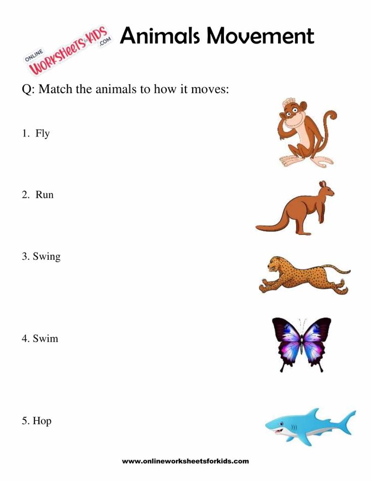 Animals Movement Worksheets For 1st Grade 1