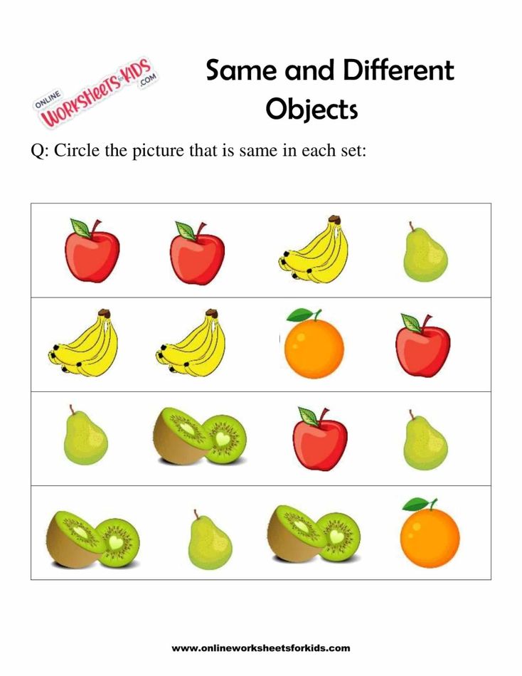 Circle The Object That Is The Same 7