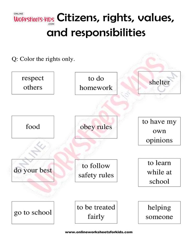 Citizen Rights and Responsibilities Worksheet03