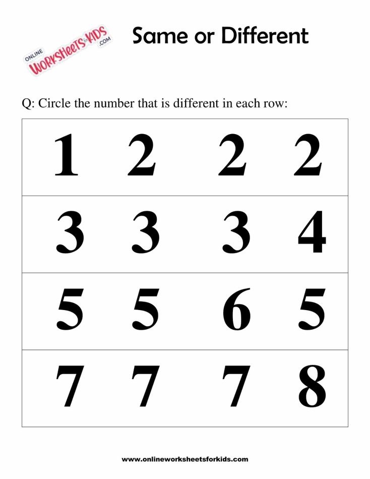 Same or Different Worksheets 5