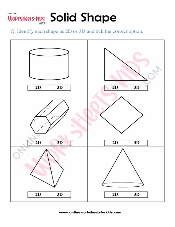 Solid Shapes 8