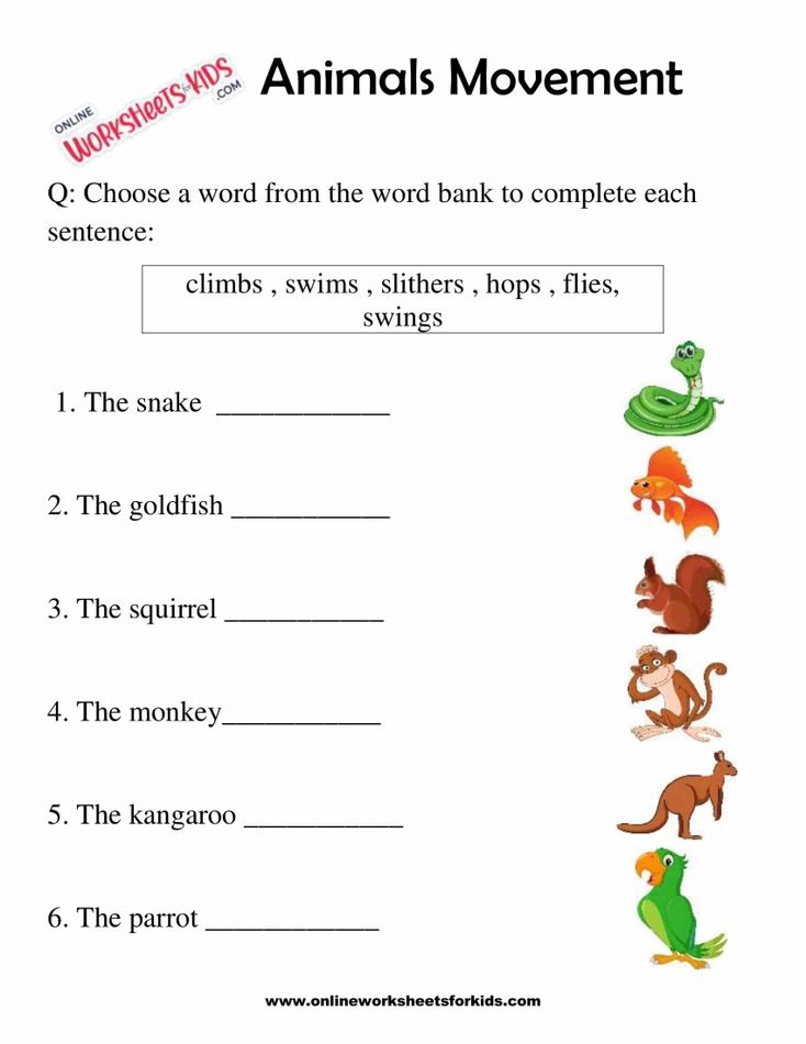 Animals Movement Worksheets For 1st Grade 4