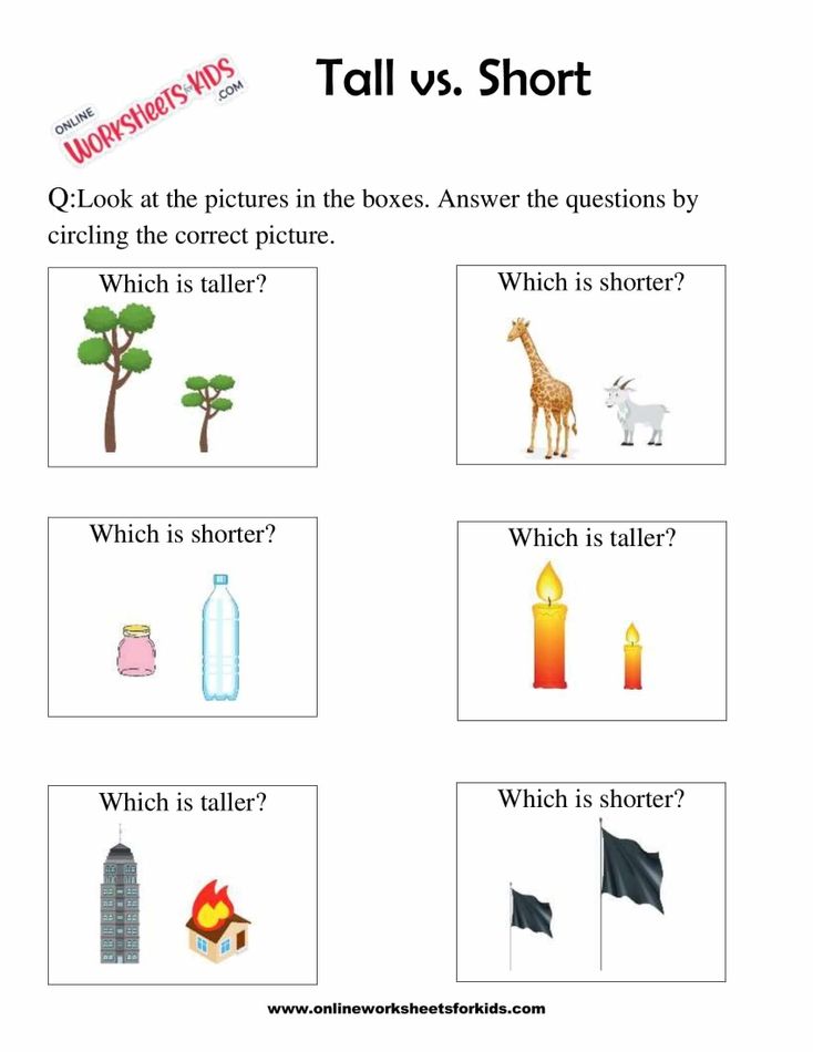 Circle The Taller Or Shorter Object 1