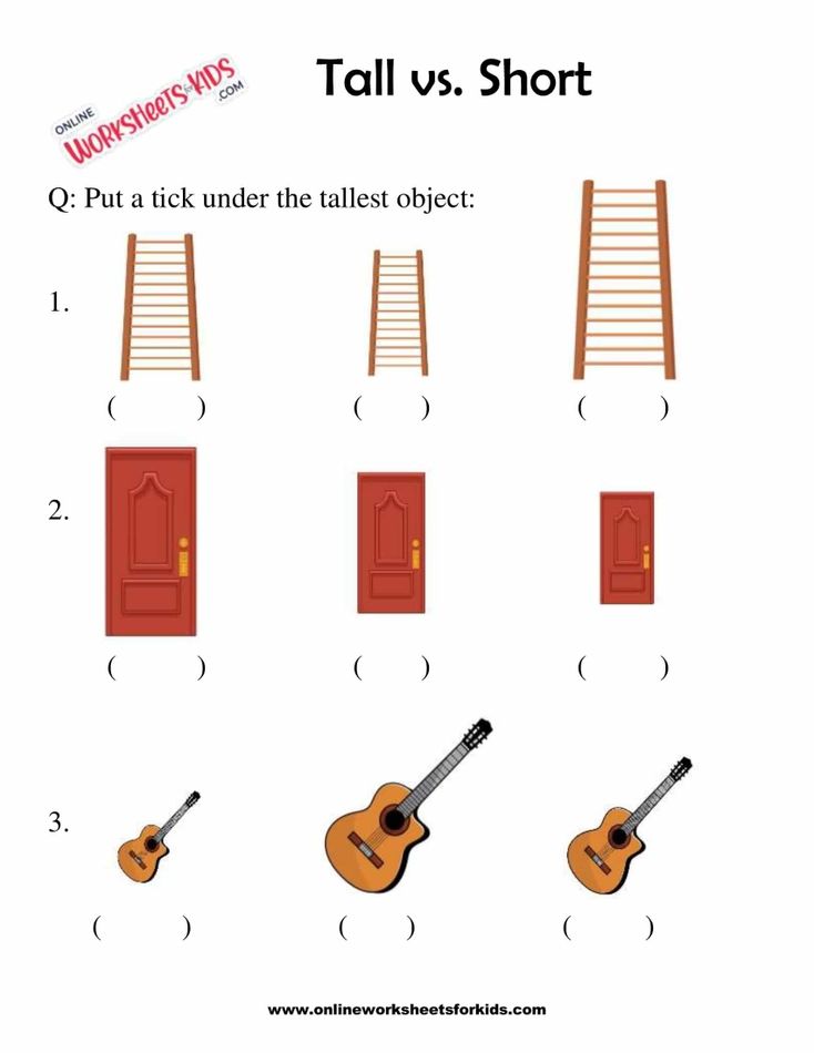 Circle The Taller Or Shorter Object 6