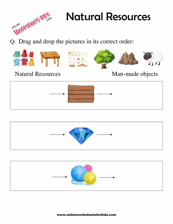 Natural Resources Worksheets For 1st Grade 9