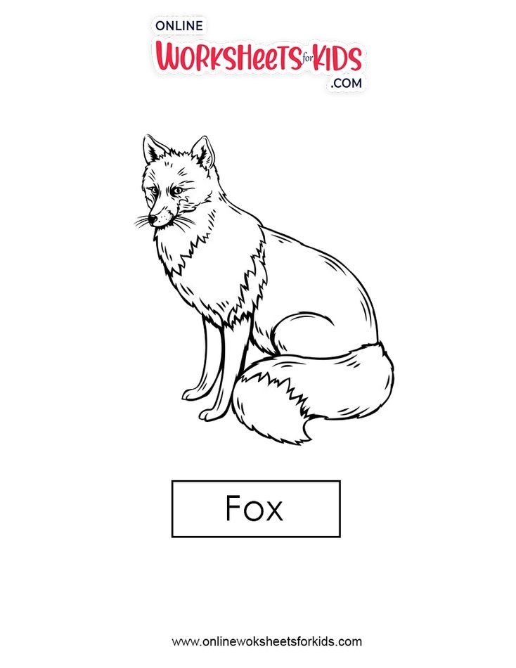 Fox