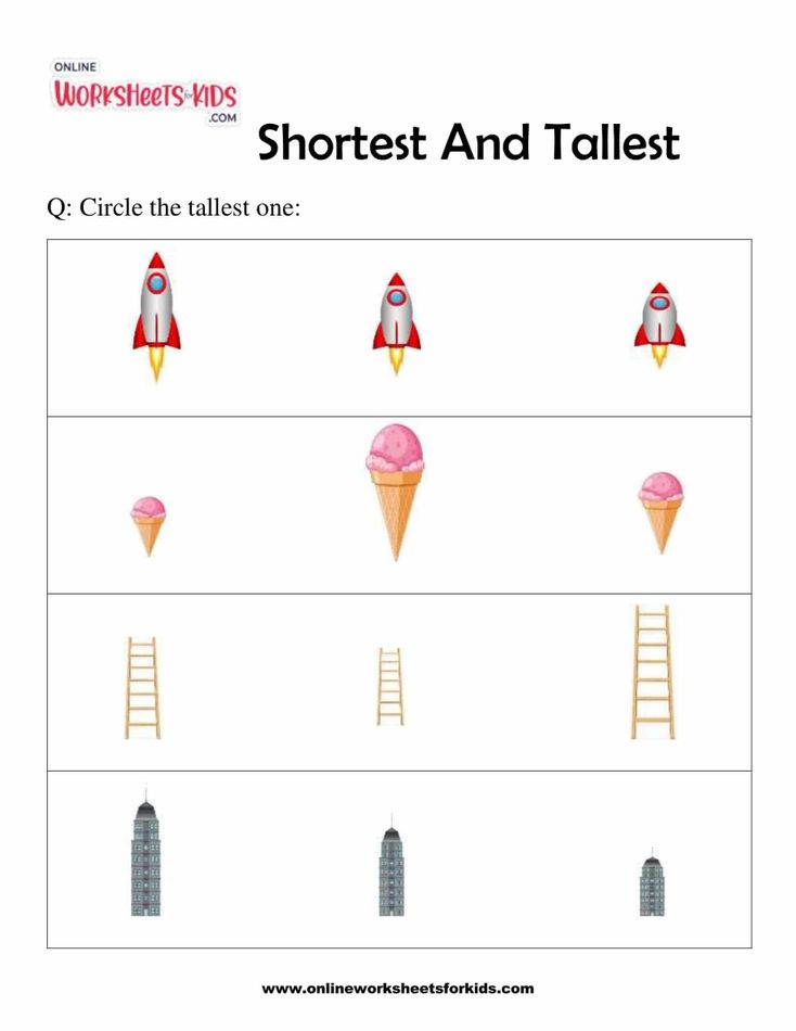 Shortest And Tallest 3