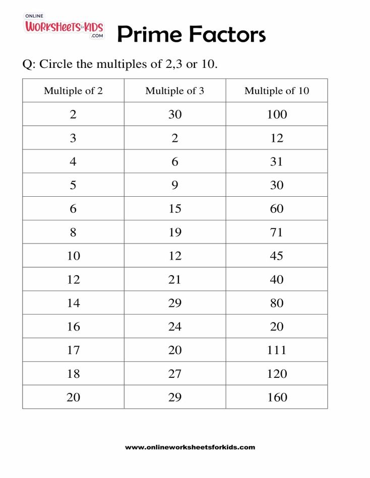 Prime Factors Worksheet Grade 1-05