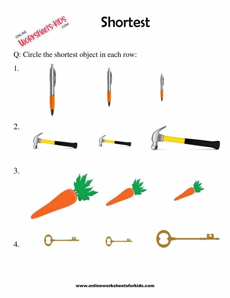 Find The Longest Or Shortest Object 7