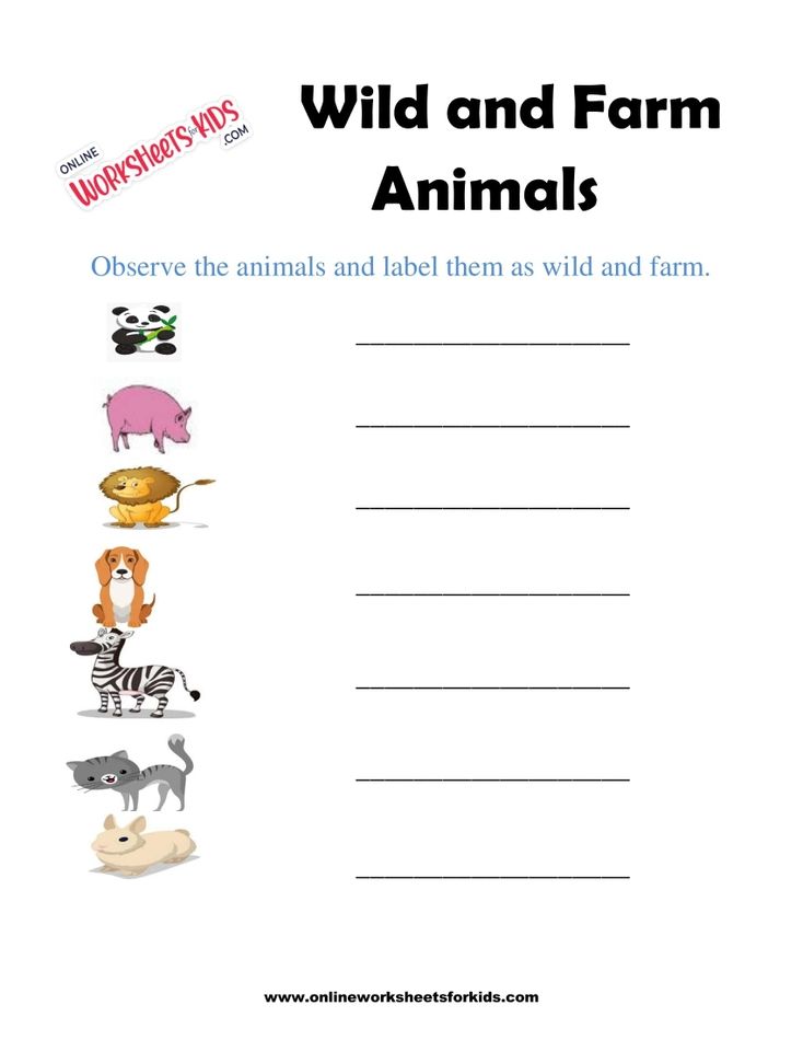 Wild And Farm Animals Worksheets 9