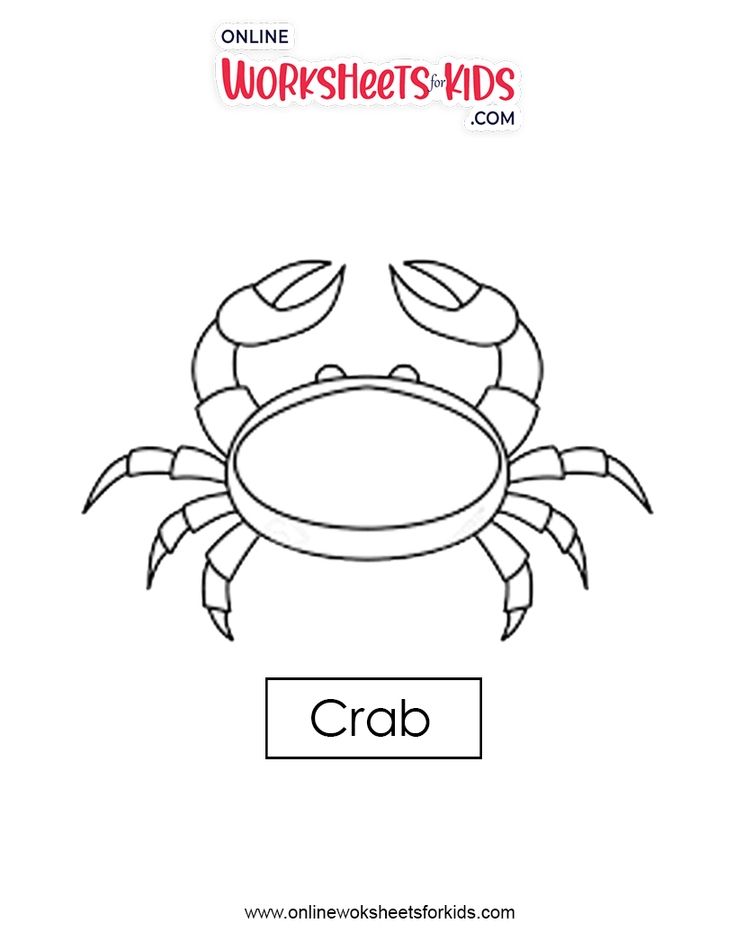 Crab