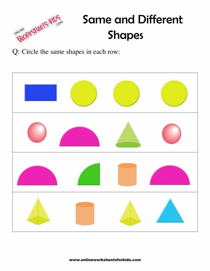 Identify The Shapes That Are The Same 5