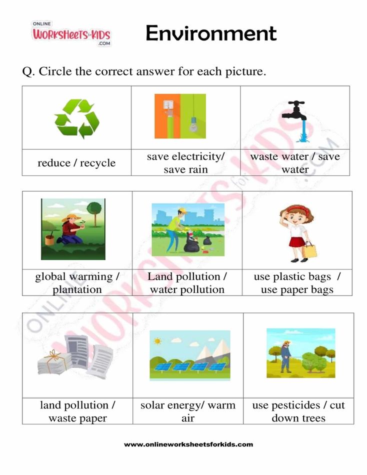Environment Worksheets For Kids 06