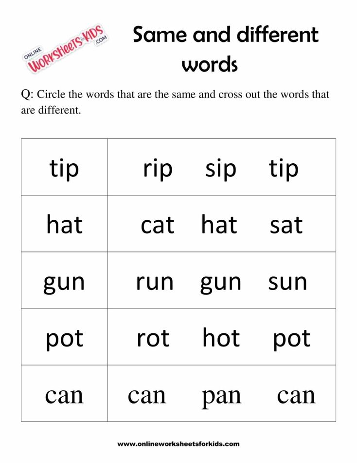 Circle The Words That Are The Same 2