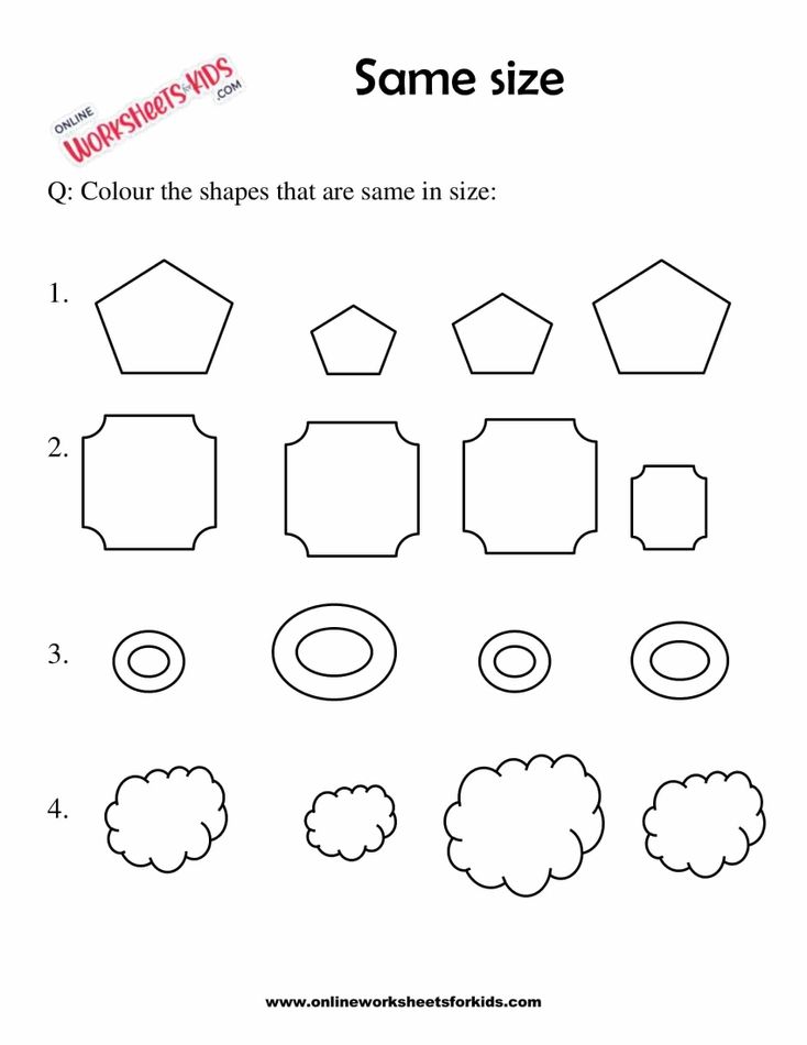 Circle The Picture Which Is The Same Size 7