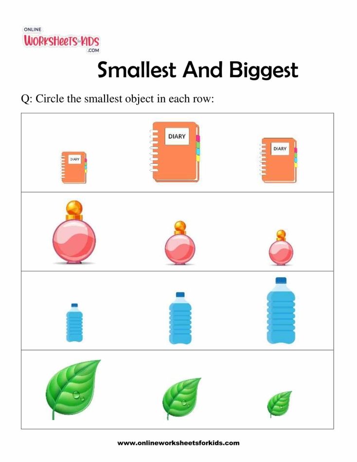 Smallest And Biggest 8
