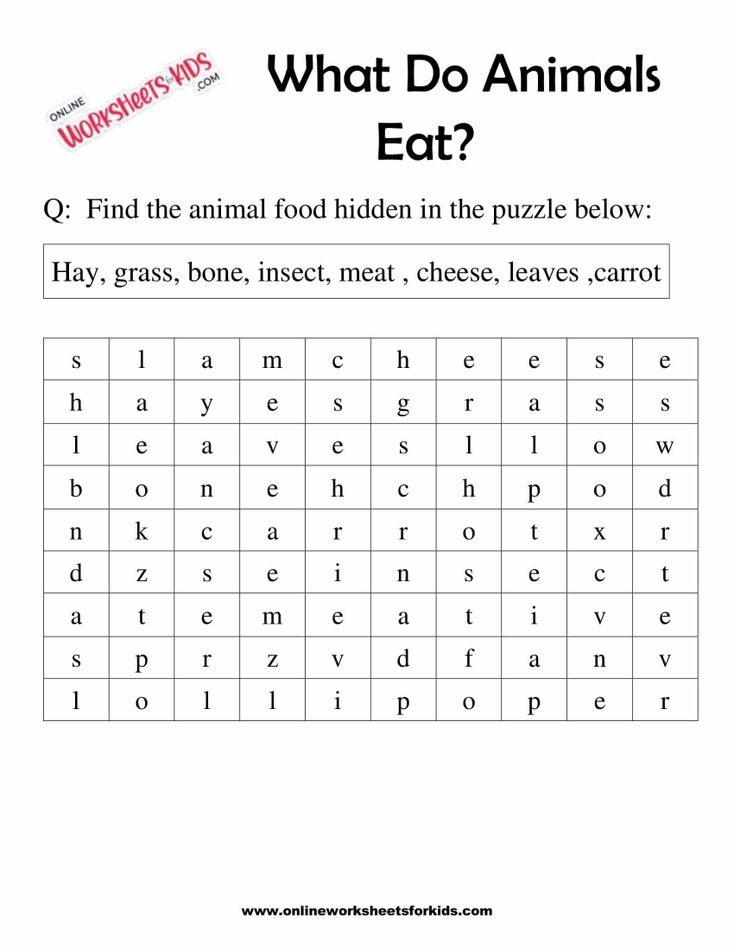 What Do Animals Eat Worksheet for Grade 1-6