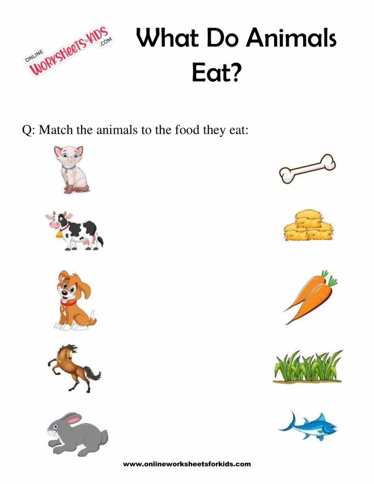 What Do Animals Eat Worksheet for Grade 1-1