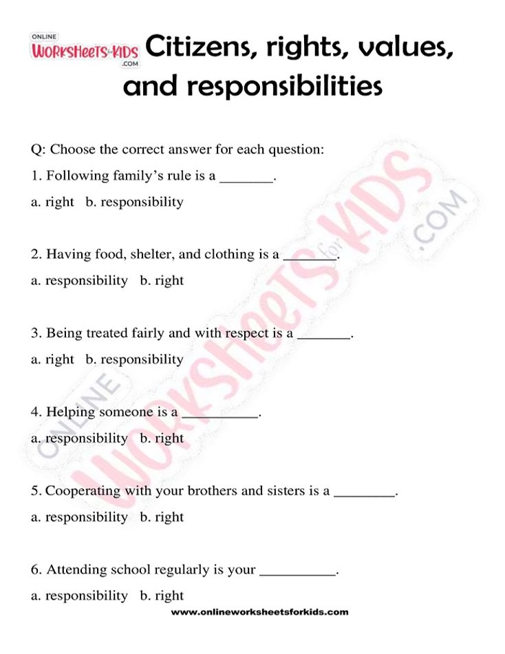 Citizen Rights and Responsibilities Worksheet 07