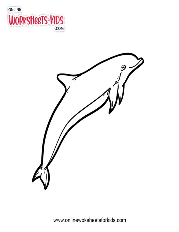 Dolphin Coloring