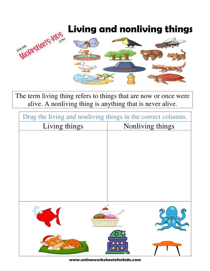 Living And Non Living Things Worksheets 9