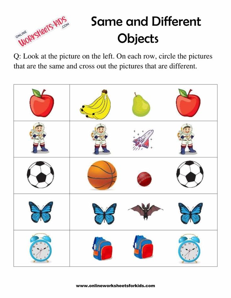 Circle The Object That Is The Same 1