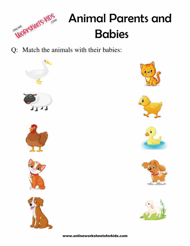 Animal Parents and Babies 1