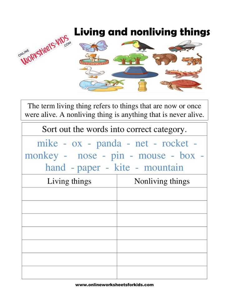 Living And Non Living Things Worksheets 2