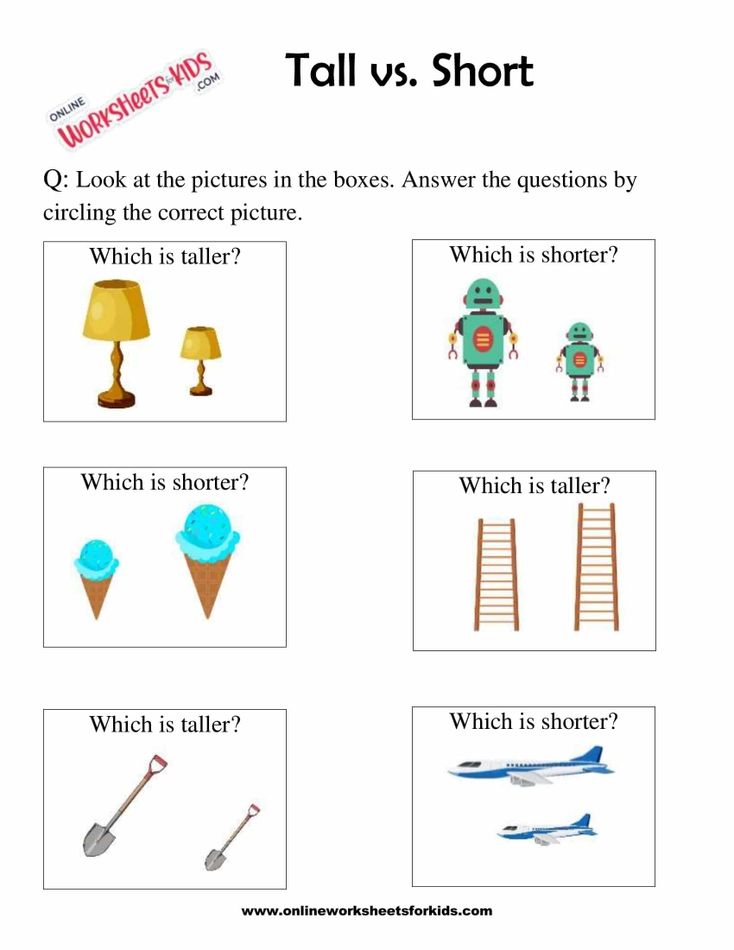 Circle The Taller Or Shorter Object 2