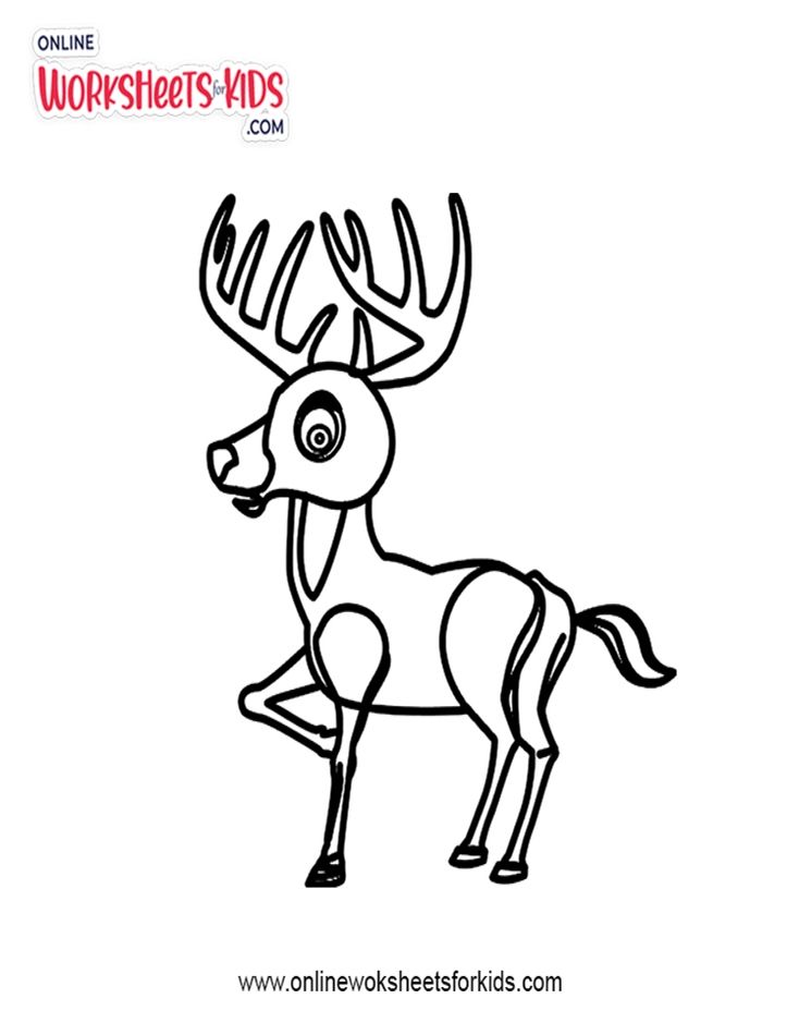 Deer Coloring