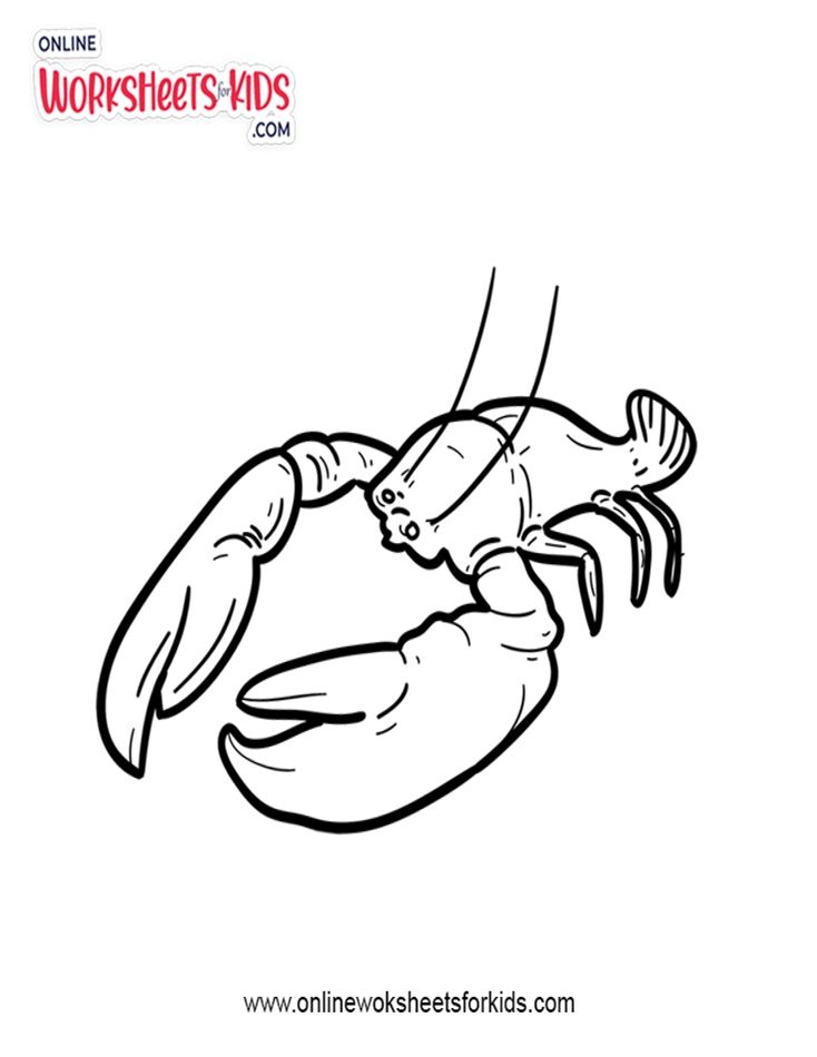 Lobster Coloring