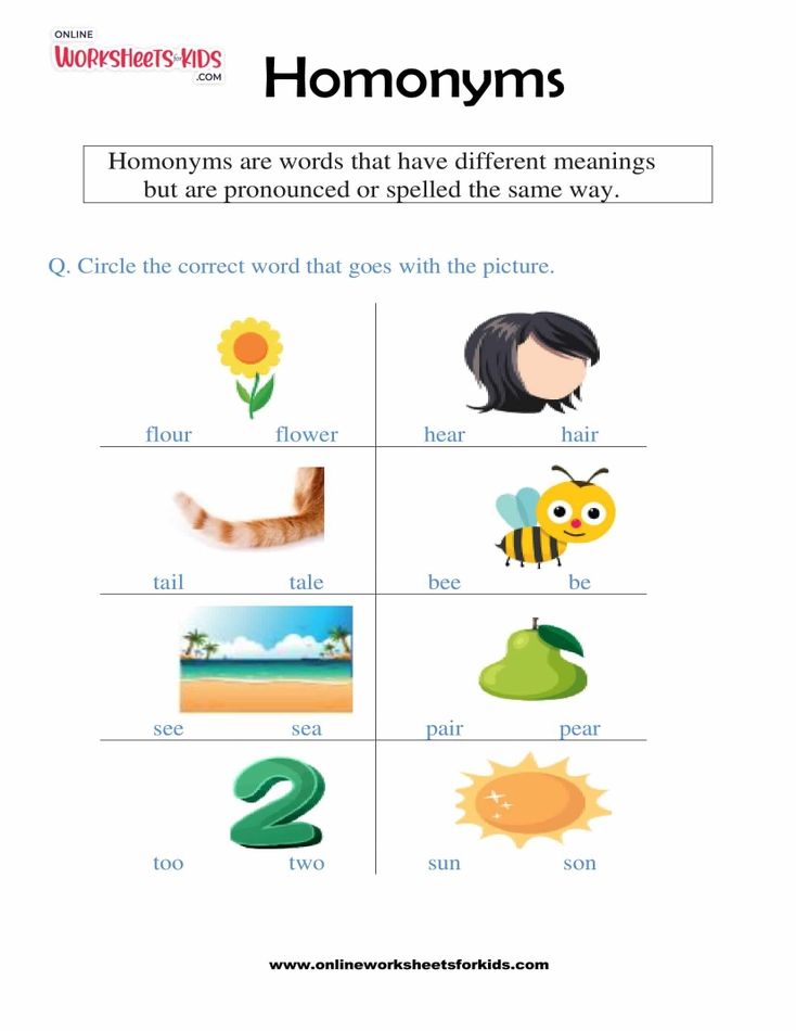 Homonyms Worksheet 02