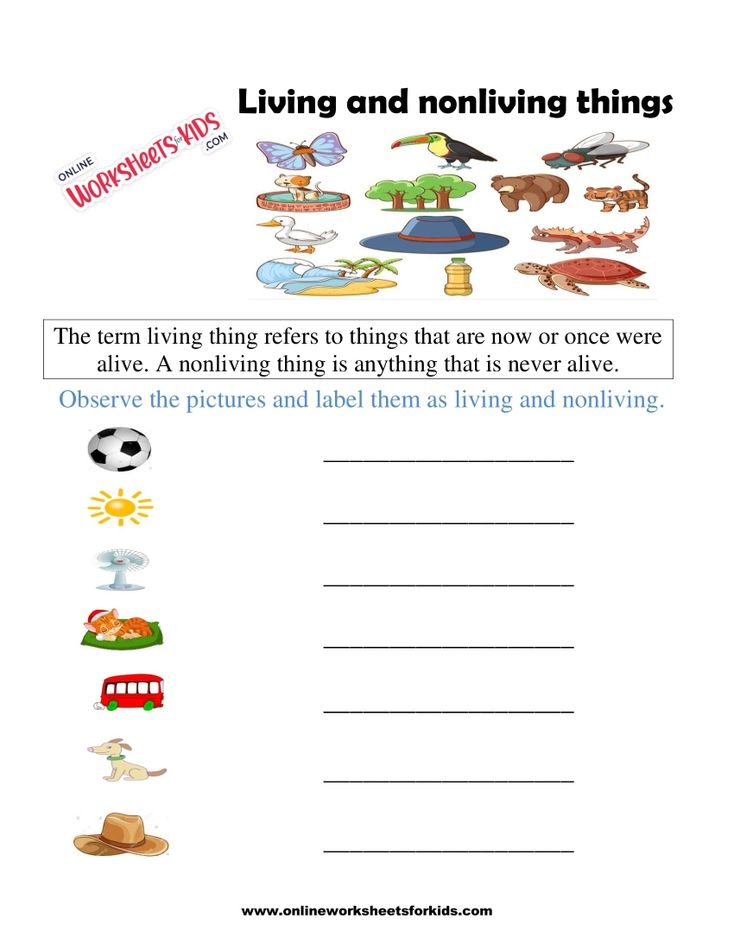Living And Non Living Things Worksheets 6