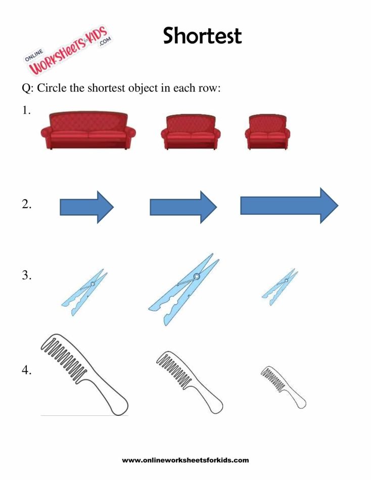 Find The Longest Or Shortest Object 8