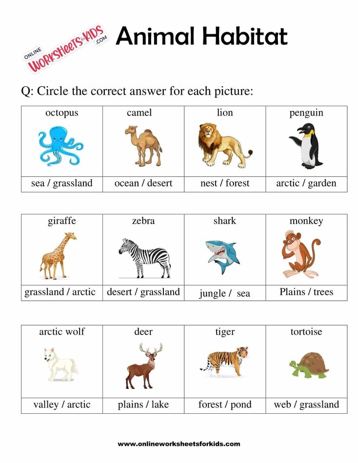Animal Habitats Worksheets for Grade 1-6