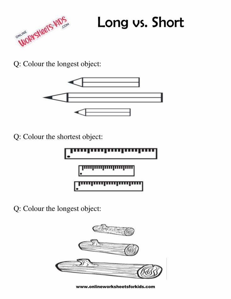 Circle The Longer Or Shorter Object 10