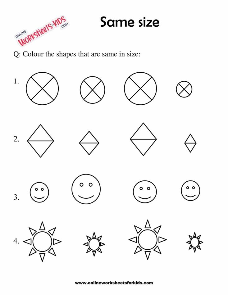 Circle The Picture Which Is The Same Size 8