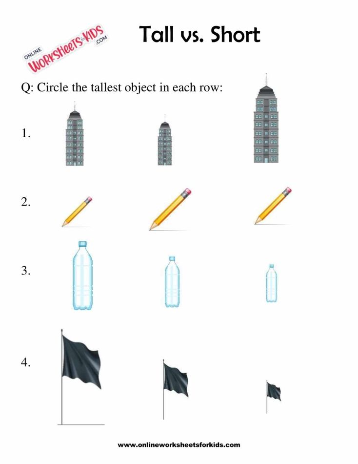 Circle The Taller Or Shorter Object 5