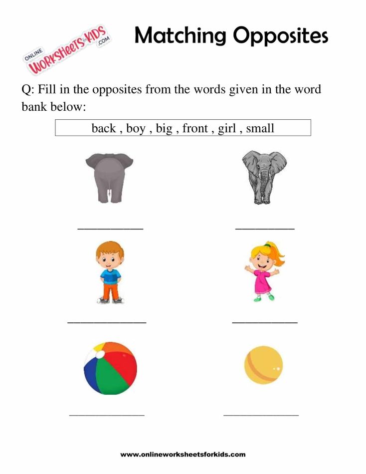 Connect The Two Objects That Are Opposites 4